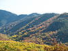 4th Annual Fall 2010 - Tail of the Dragon GTG - Oct. 1, 2, 3-2009-fall-fall-dragon-084.jpg